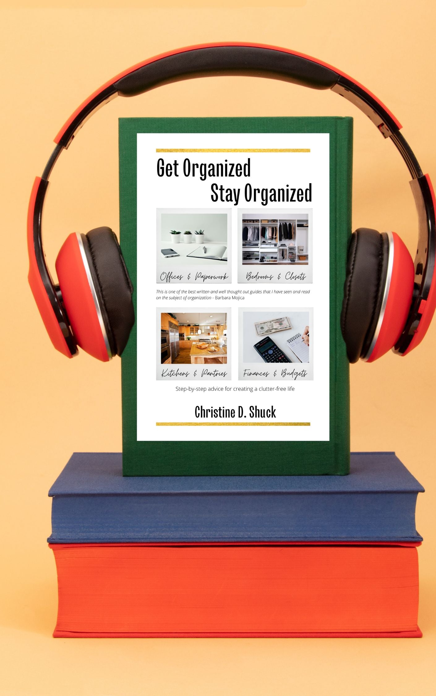 GOSO-Get Organized, Stay Organized AUDIOBOOK